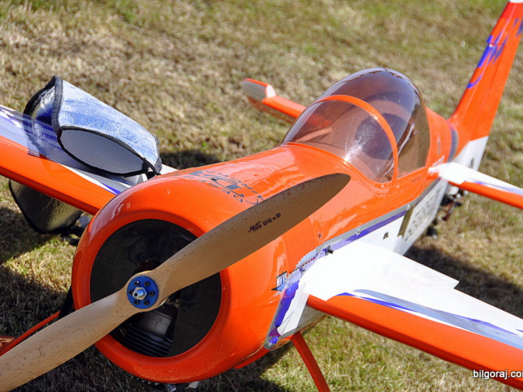 Pokazy modelarskie połączone z rodzinnym piknikiem (FOTO)