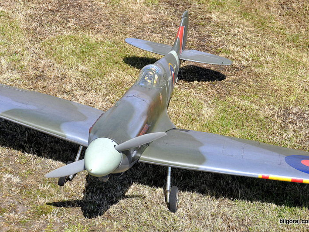 Pokazy modelarskie połączone z rodzinnym piknikiem (FOTO)