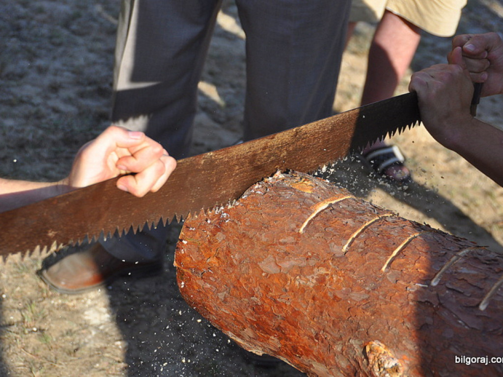 Mała miejscowość - wielkie święto, czyli Dni Nadrzecza!