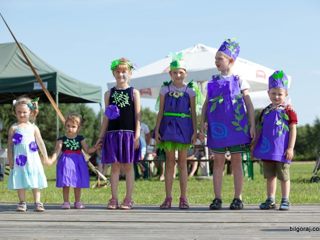 Lokalne święto z jagodą w roli głównej