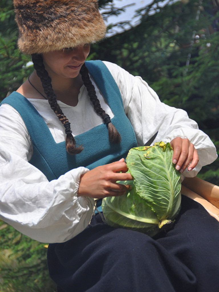 Kozacy pod Borowcem - rekonstrukcja bitwy i obozu Jana Kazimierza (FOTO, VIDEO)