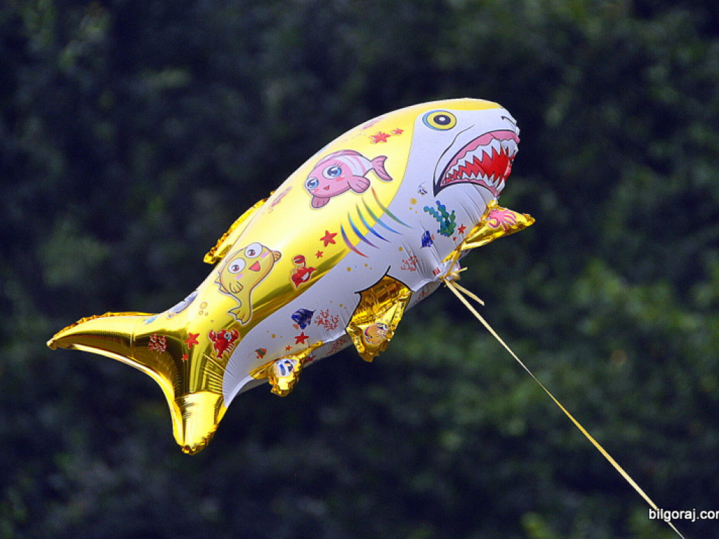 Żurawinowe lato w Ciosmach. W tym roku po raz ósmy (FOTO)