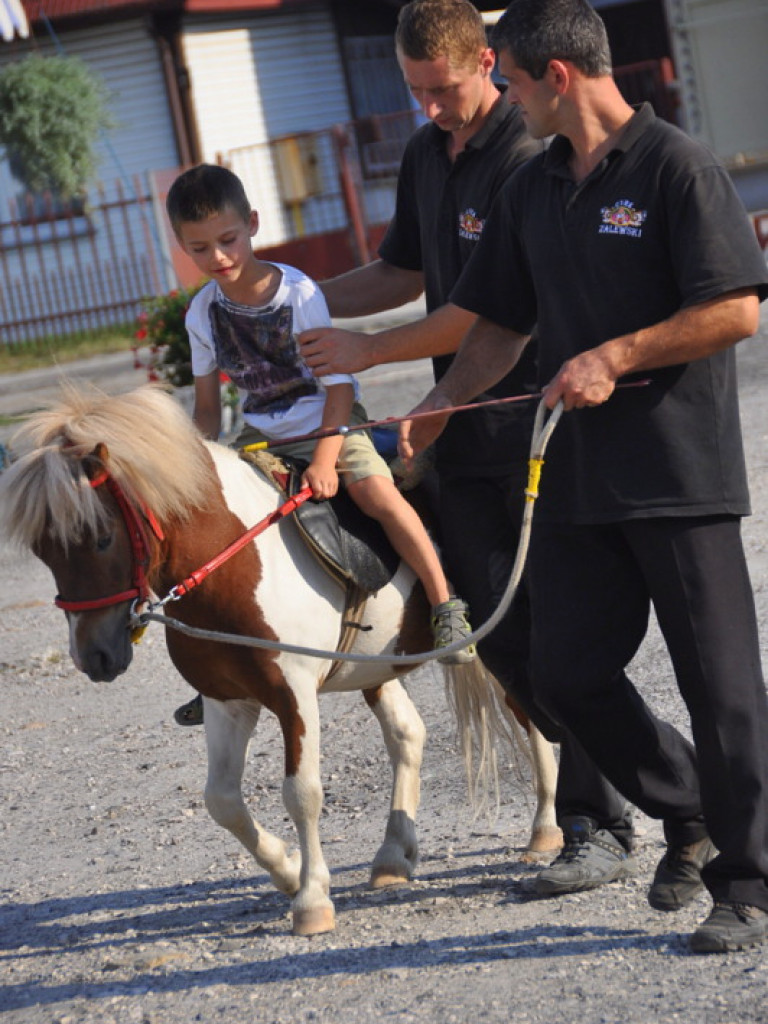 Cyrk Zalewski w Biłgoraju z nowym repertuarem (FOTO)