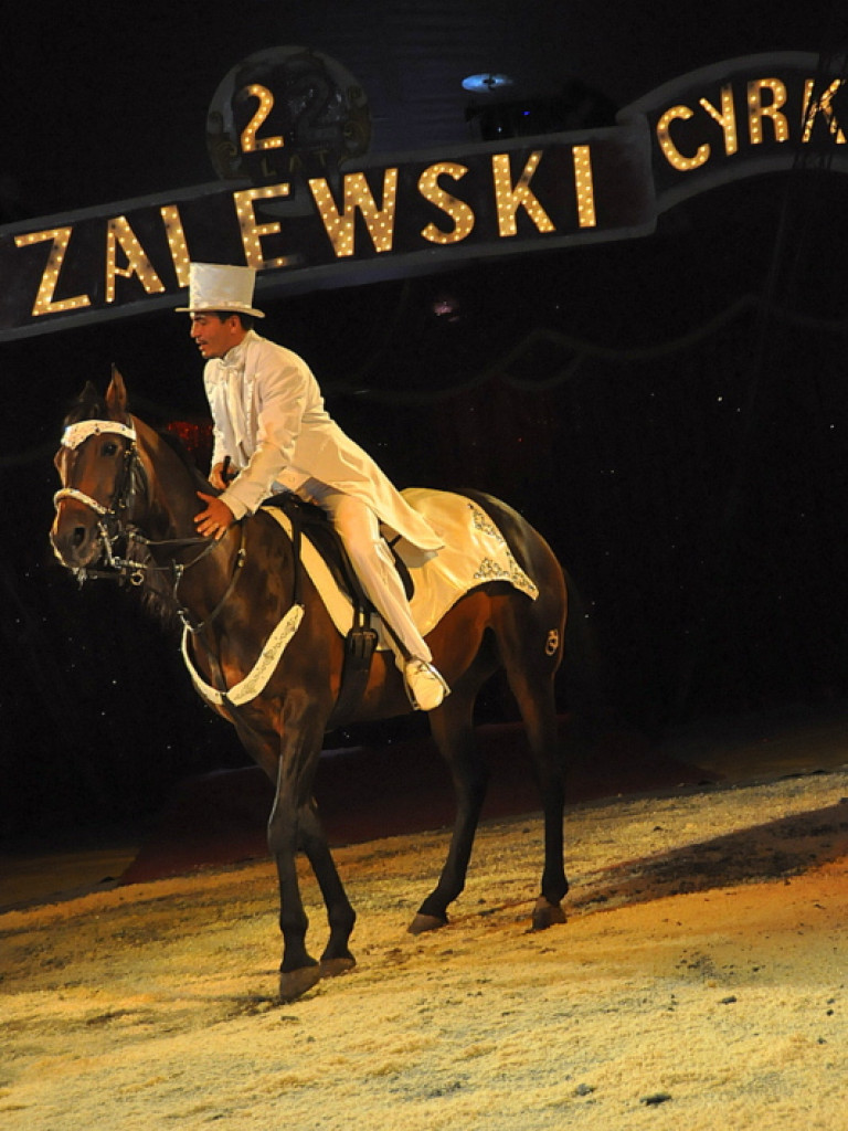 Cyrk Zalewski w Biłgoraju z nowym repertuarem (FOTO)