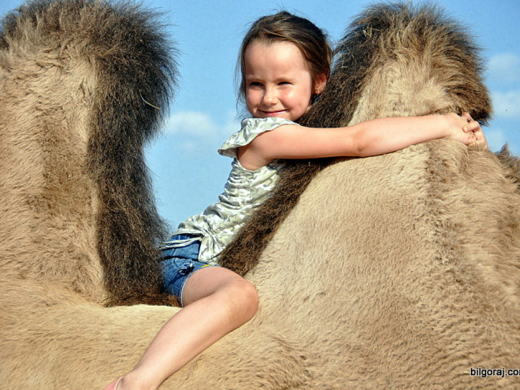 Cyrk Zalewski w Biłgoraju z nowym repertuarem (FOTO)