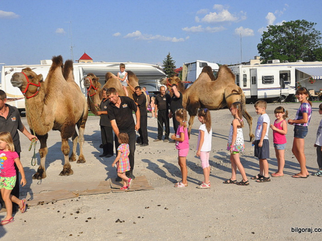 Cyrk Zalewski w Biłgoraju z nowym repertuarem (FOTO)