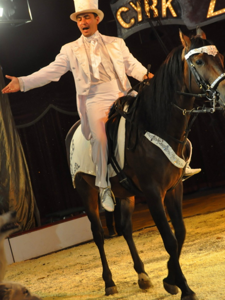 Cyrk Zalewski w Biłgoraju z nowym repertuarem (FOTO)