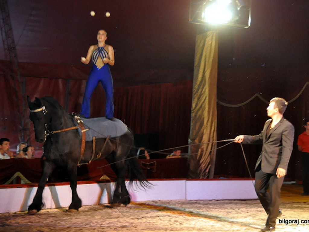 Cyrk Zalewski w Biłgoraju z nowym repertuarem (FOTO)
