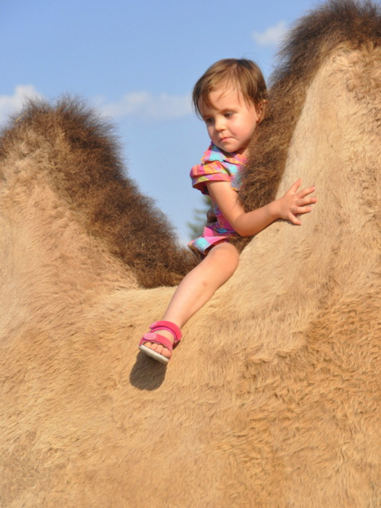 Cyrk Zalewski w Biłgoraju z nowym repertuarem (FOTO)