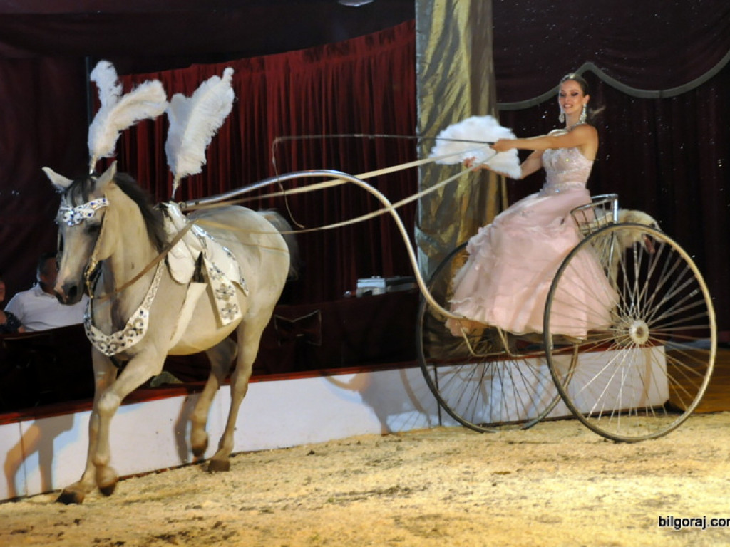Cyrk Zalewski w Biłgoraju z nowym repertuarem (FOTO)