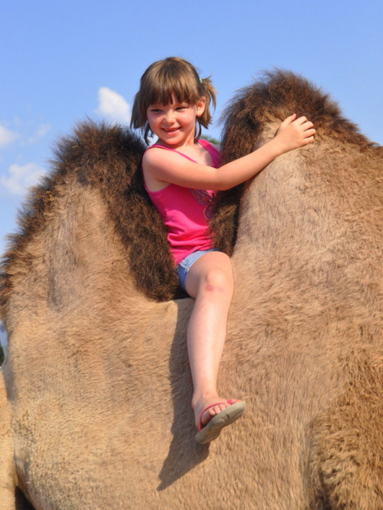 Cyrk Zalewski w Biłgoraju z nowym repertuarem (FOTO)