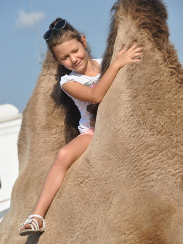 Cyrk Zalewski w Biłgoraju z nowym repertuarem (FOTO)