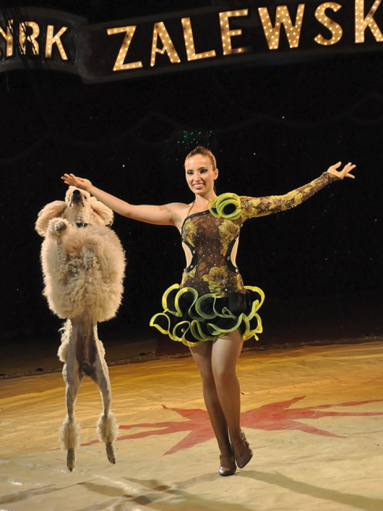 Cyrk Zalewski w Biłgoraju z nowym repertuarem (FOTO)