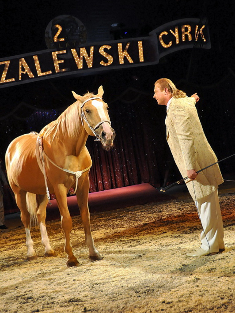 Cyrk Zalewski w Biłgoraju z nowym repertuarem (FOTO)