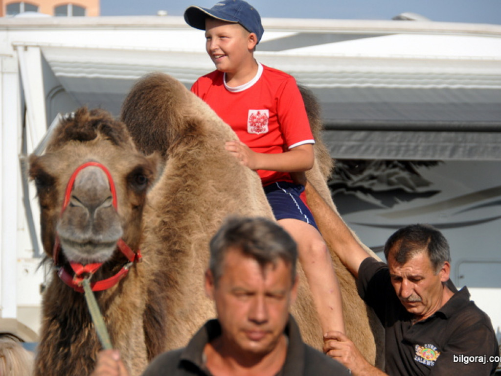 Cyrk Zalewski w Biłgoraju z nowym repertuarem (FOTO)