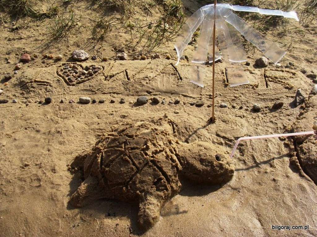 Festyn na sportowo i tanecznie w Biszczy (FOTO)