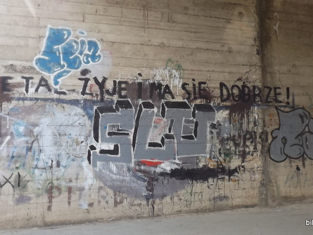 Wiadukt kolejowy w Dąbrowicy pomalowany (FOTO)