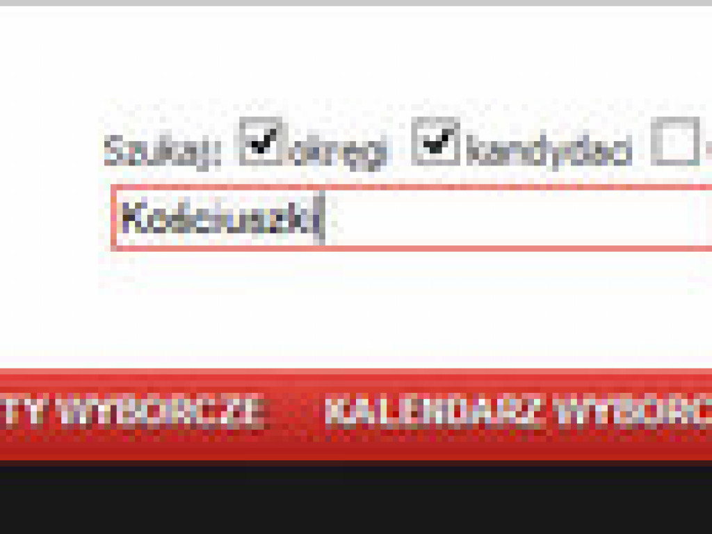 Jak głosować - instrukcja krok po kroku