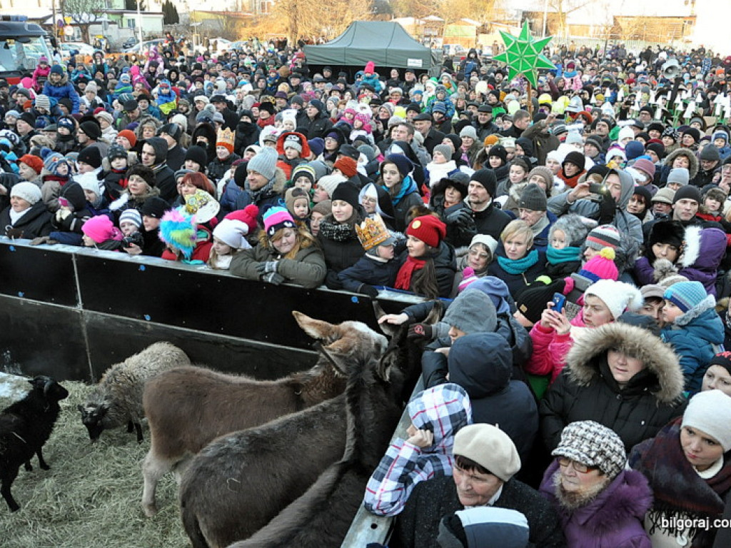 Trzej Królowie na ulicach Biłgoraja szukali Nowonarodzonego Jezusa (FOTO, VIDEO)