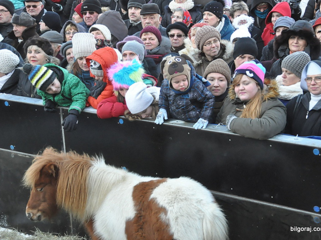 Trzej Królowie na ulicach Biłgoraja szukali Nowonarodzonego Jezusa (FOTO, VIDEO)