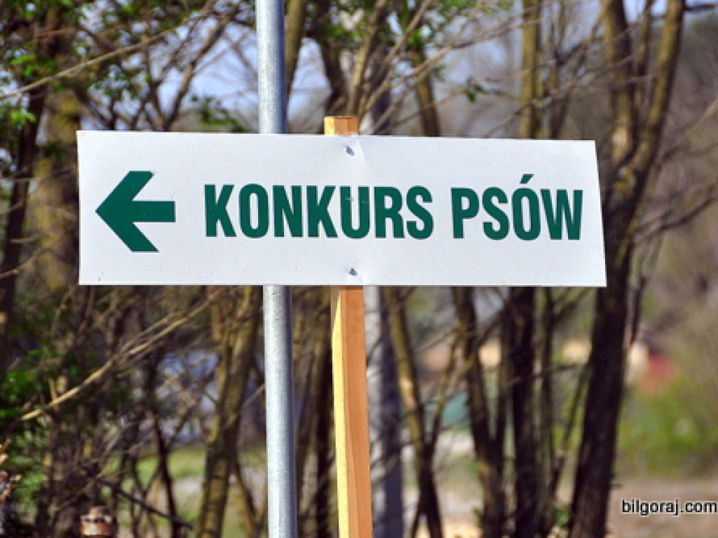 Regionalne Konkursy Pracy Tropowców i Posokowców - Biszcza 2015 (FOTO, WYNIKI)