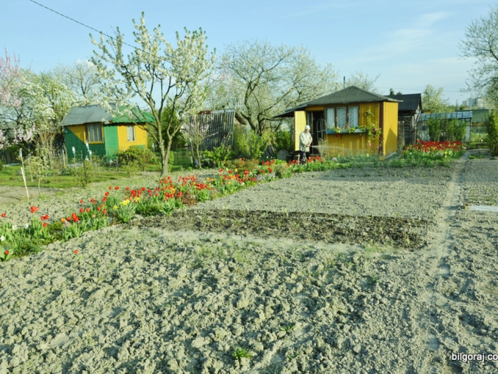 Rozkwitły ogrody działkowe