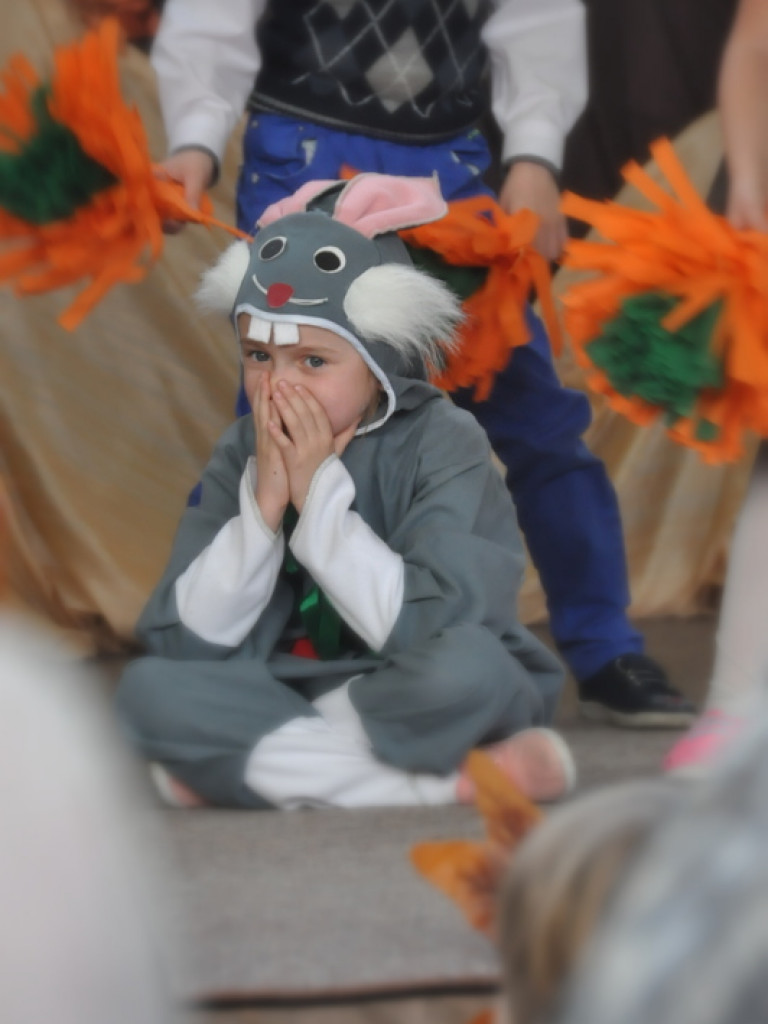 XIV Dzień Jesiennego Liścia (FOTO)