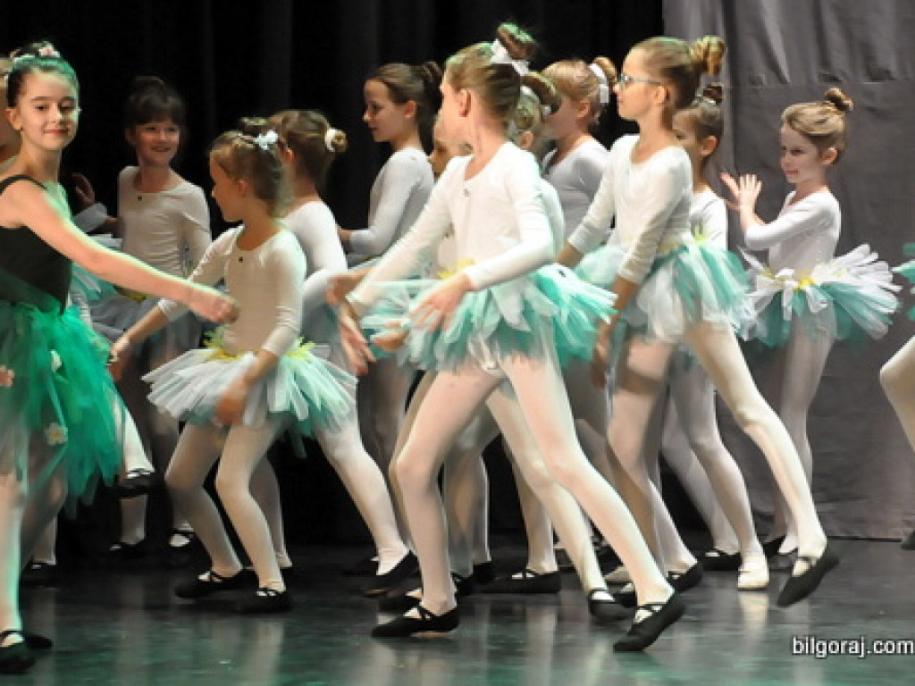 24. Finał WOŚP w Biłgoraju (FOTO)