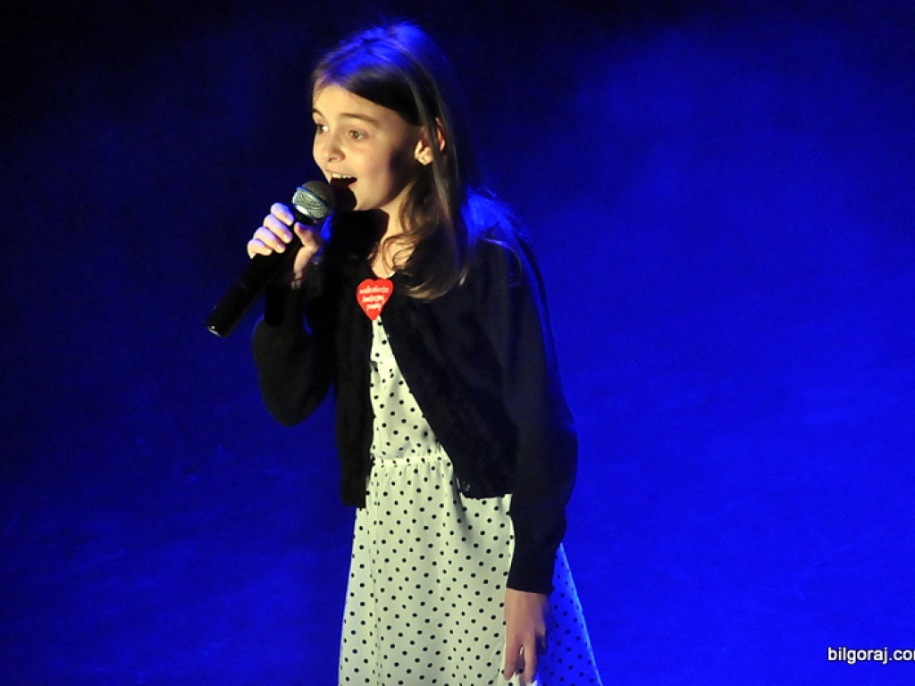 24. Finał WOŚP w Biłgoraju (FOTO)