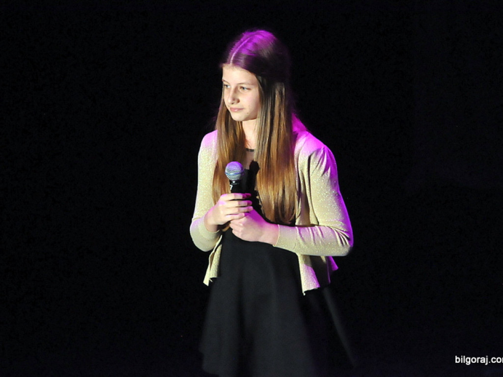 24. Finał WOŚP w Biłgoraju (FOTO)