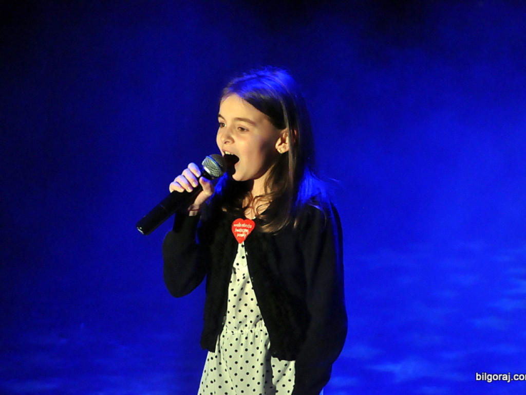 24. Finał WOŚP w Biłgoraju (FOTO)