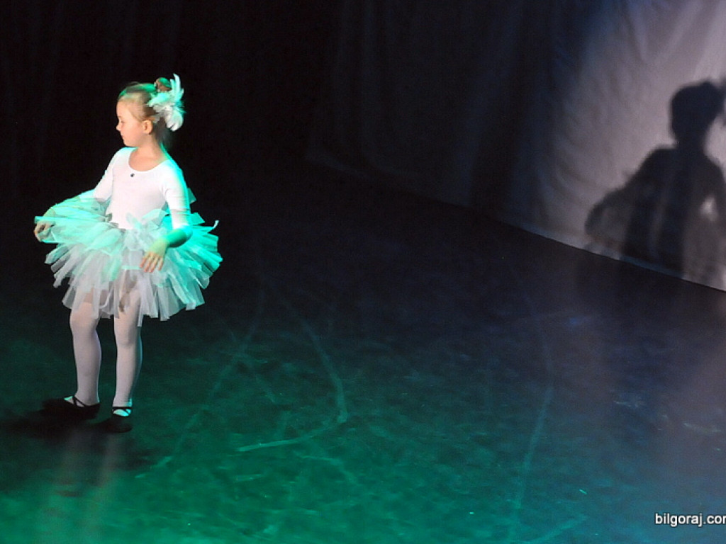 24. Finał WOŚP w Biłgoraju (FOTO)