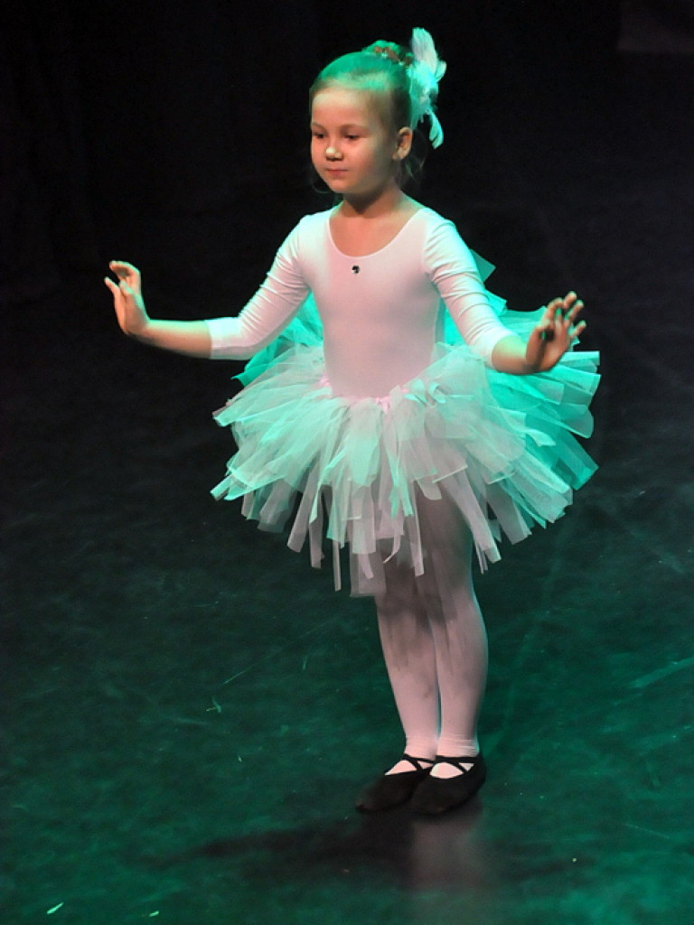 24. Finał WOŚP w Biłgoraju (FOTO)