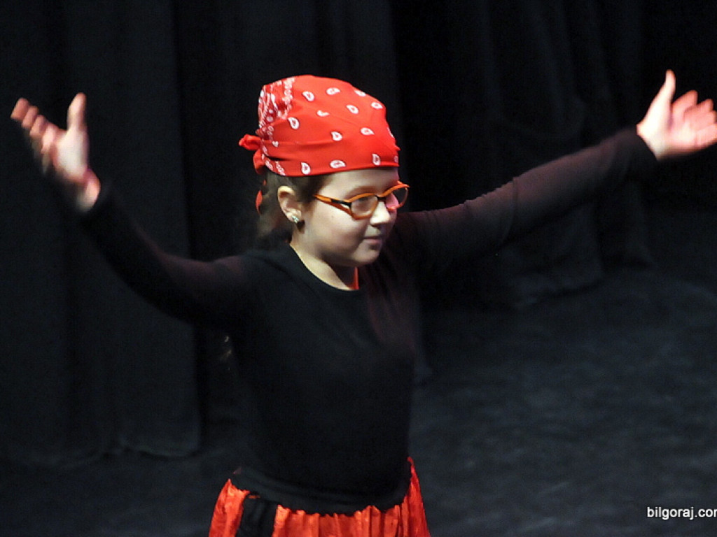 24. Finał WOŚP w Biłgoraju (FOTO)