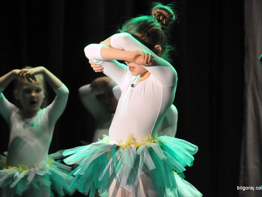 24. Finał WOŚP w Biłgoraju (FOTO)