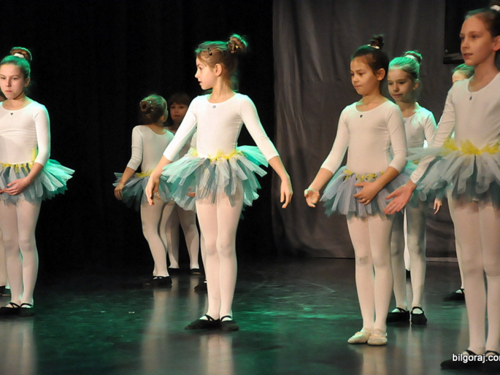 24. Finał WOŚP w Biłgoraju (FOTO)