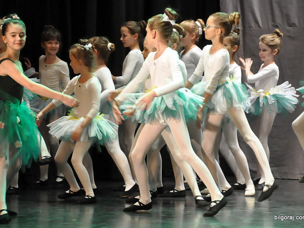 24. Finał WOŚP w Biłgoraju (FOTO)