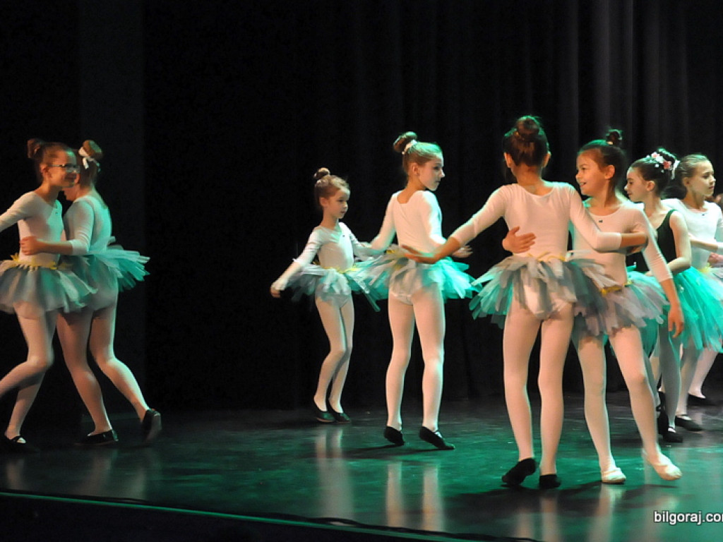 24. Finał WOŚP w Biłgoraju (FOTO)