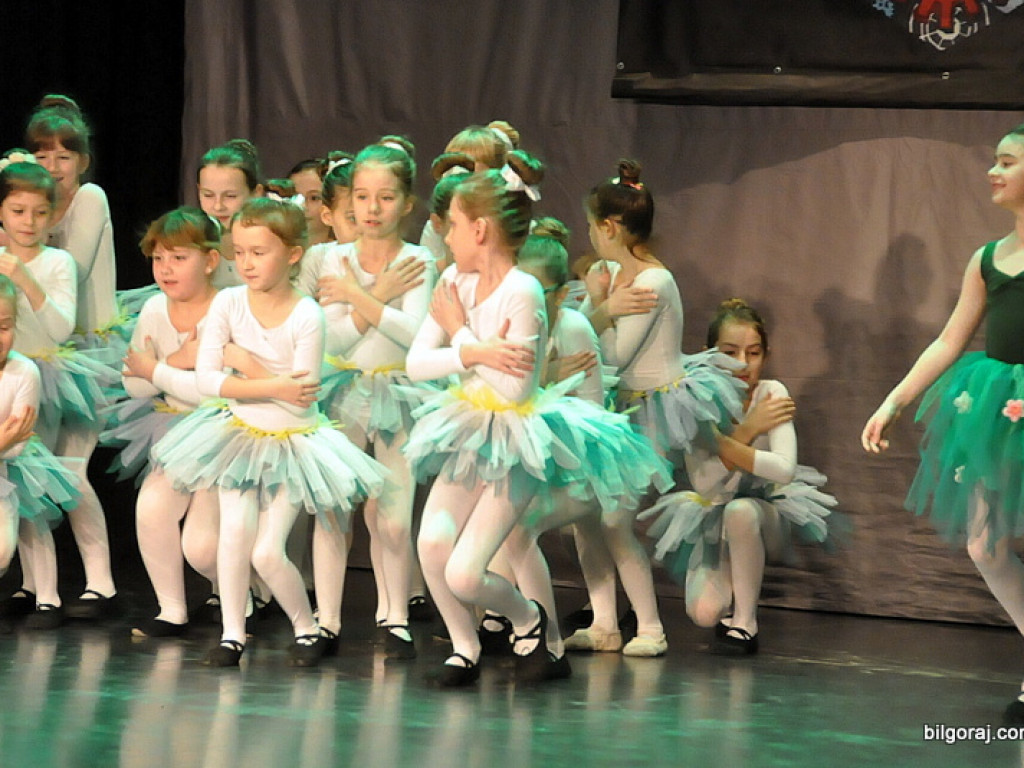 24. Finał WOŚP w Biłgoraju (FOTO)