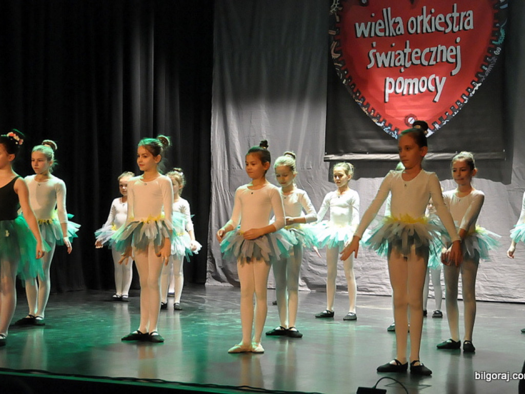 24. Finał WOŚP w Biłgoraju (FOTO)