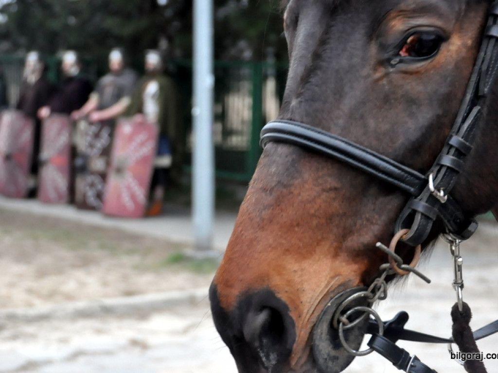 Misterium Męki Pańskiej - Biłgoraj 2016 (FOTO, VIDEO)