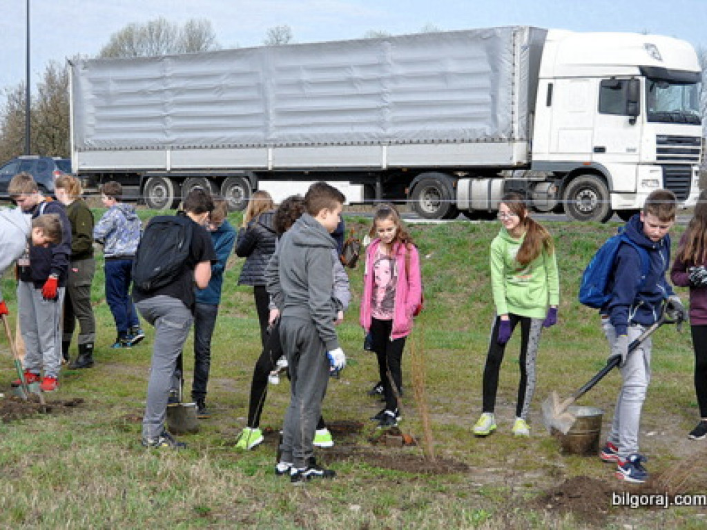 Dzieci i młodzież przy wsparciu Nadleśnictwa Biłgoraj i Urzędu Miasta Biłgoraj posadziły 1050 drzew (FOTO)