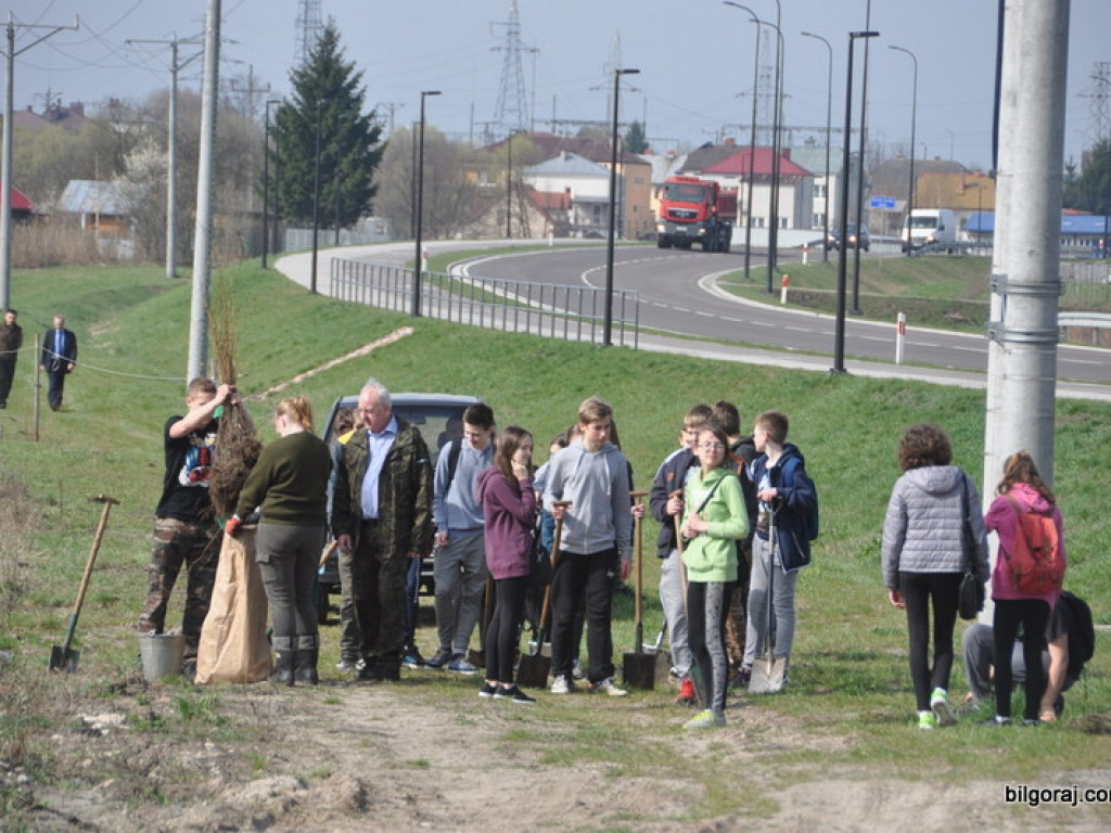 Dzieci i młodzież przy wsparciu Nadleśnictwa Biłgoraj i Urzędu Miasta Biłgoraj posadziły 1050 drzew (FOTO)