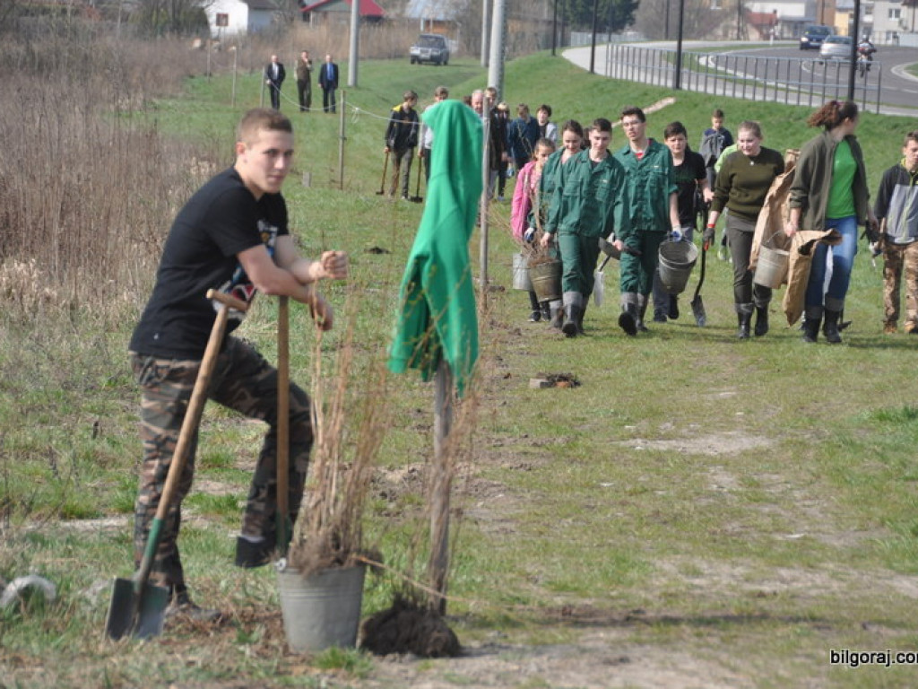 Dzieci i młodzież przy wsparciu Nadleśnictwa Biłgoraj i Urzędu Miasta Biłgoraj posadziły 1050 drzew (FOTO)