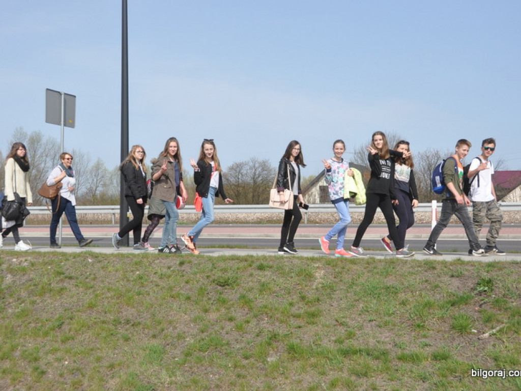 Dzieci i młodzież przy wsparciu Nadleśnictwa Biłgoraj i Urzędu Miasta Biłgoraj posadziły 1050 drzew (FOTO)