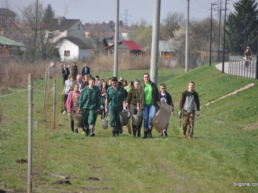 Dzieci i młodzież przy wsparciu Nadleśnictwa Biłgoraj i Urzędu Miasta Biłgoraj posadziły 1050 drzew (FOTO)