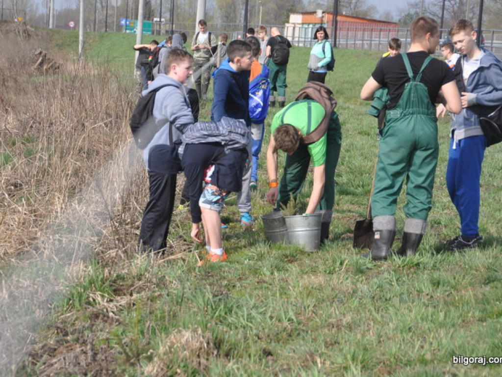 Dzieci i młodzież przy wsparciu Nadleśnictwa Biłgoraj i Urzędu Miasta Biłgoraj posadziły 1050 drzew (FOTO)