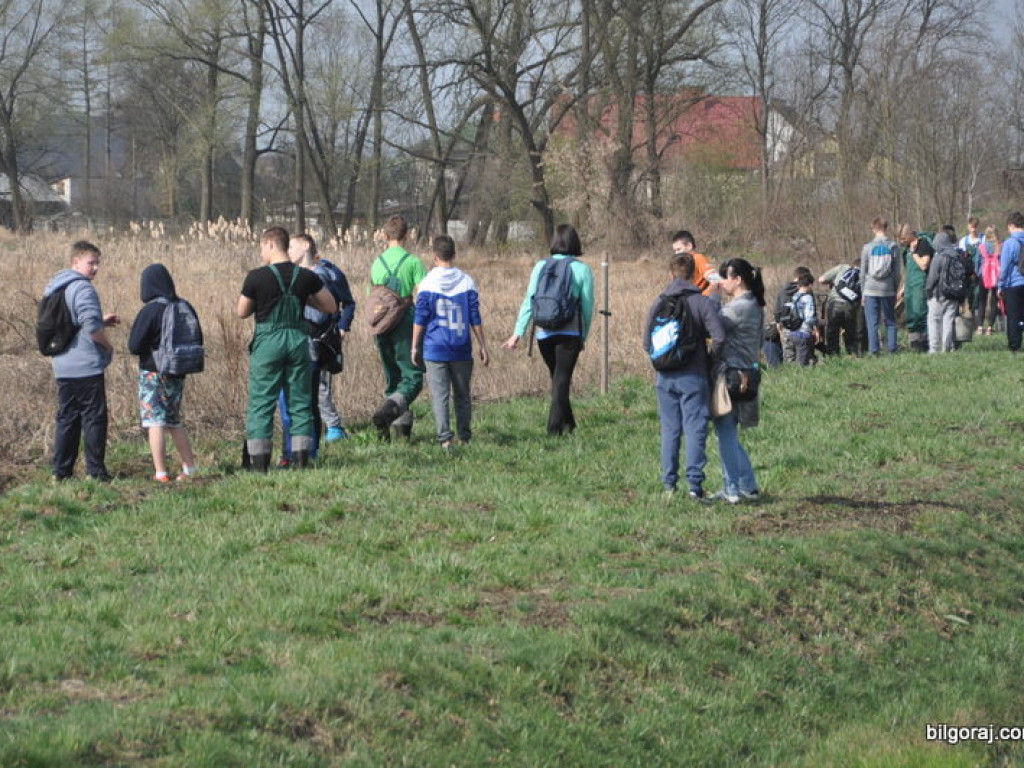 Dzieci i młodzież przy wsparciu Nadleśnictwa Biłgoraj i Urzędu Miasta Biłgoraj posadziły 1050 drzew (FOTO)