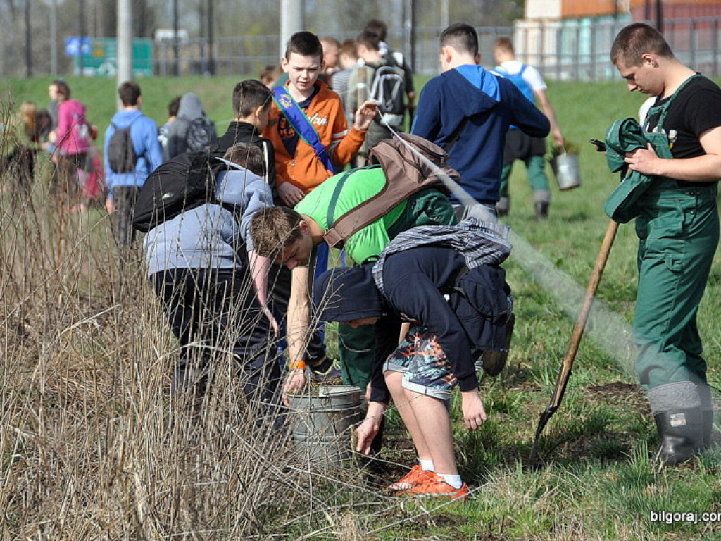 Dzieci i młodzież przy wsparciu Nadleśnictwa Biłgoraj i Urzędu Miasta Biłgoraj posadziły 1050 drzew (FOTO)