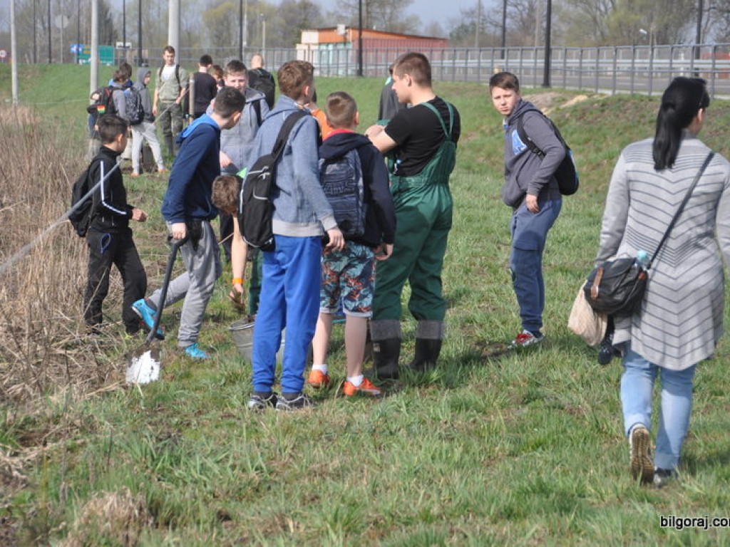 Dzieci i młodzież przy wsparciu Nadleśnictwa Biłgoraj i Urzędu Miasta Biłgoraj posadziły 1050 drzew (FOTO)